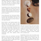 Bali Canva eBook Workbook Template – 20 Pages | Editable Digital Download