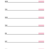 Coquette Digital Planner | 50-Page Canva Template PLR & MRR