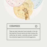 50 Canva Instagram Templates for Skincare Beauty Bloggers PLR & MRR