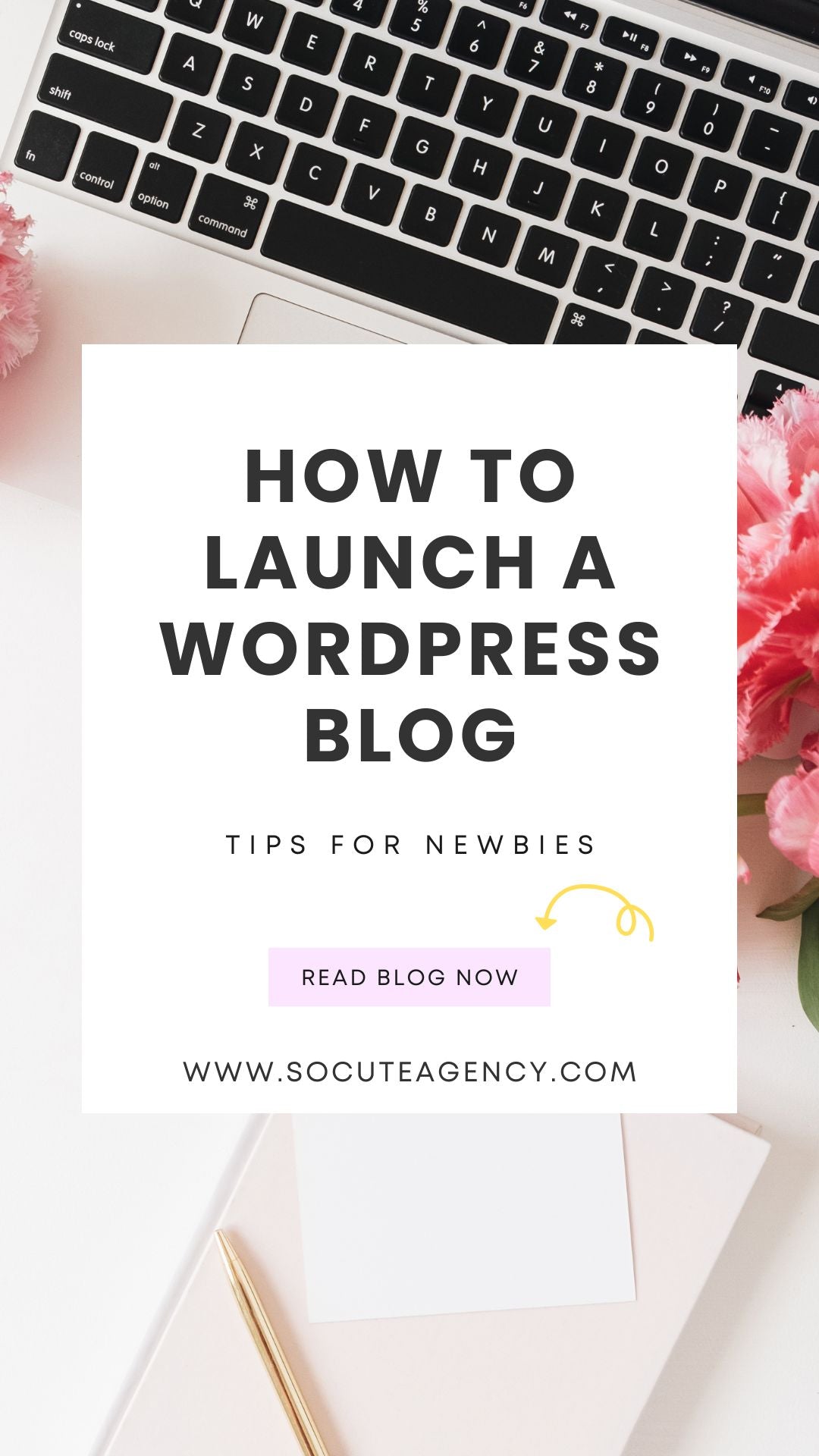 How to start a Wordpress blog in 2026