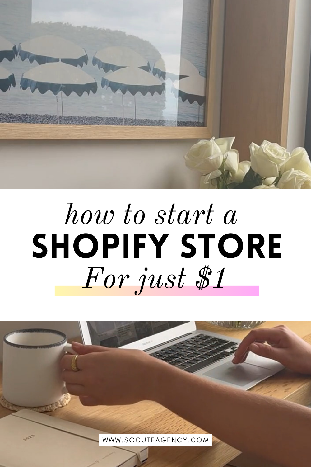 Beginner's Guide to Shopify: Start for  1$ Today!