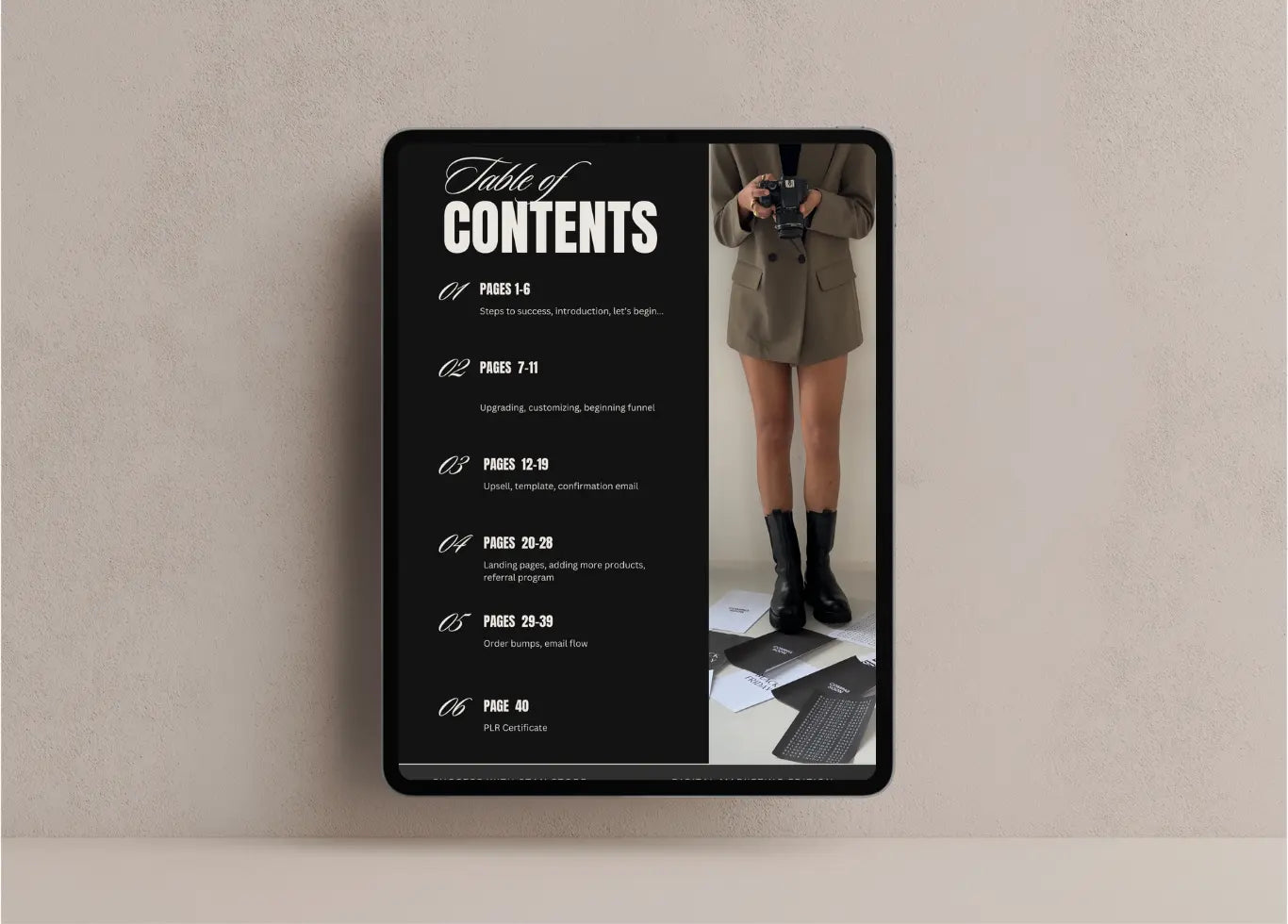 Digital Marketing Guides (PLR + MRR)