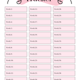 Pregnancy Digital Planner | 35-Page Canva Templates PLR & MRR